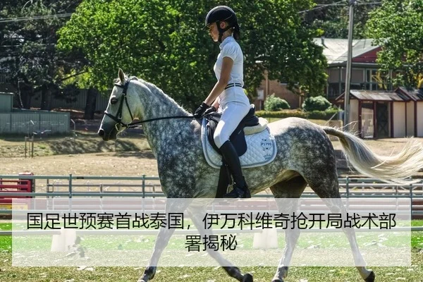 国足世预赛首战泰国，伊万科维奇抢开局战术部署揭秘